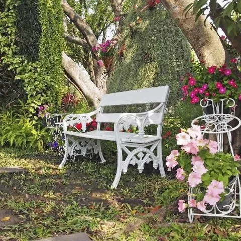 thumbnail for publication: Landscaping in Florida Shade